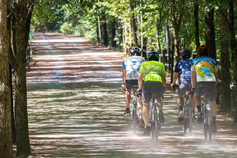 Friends cycling