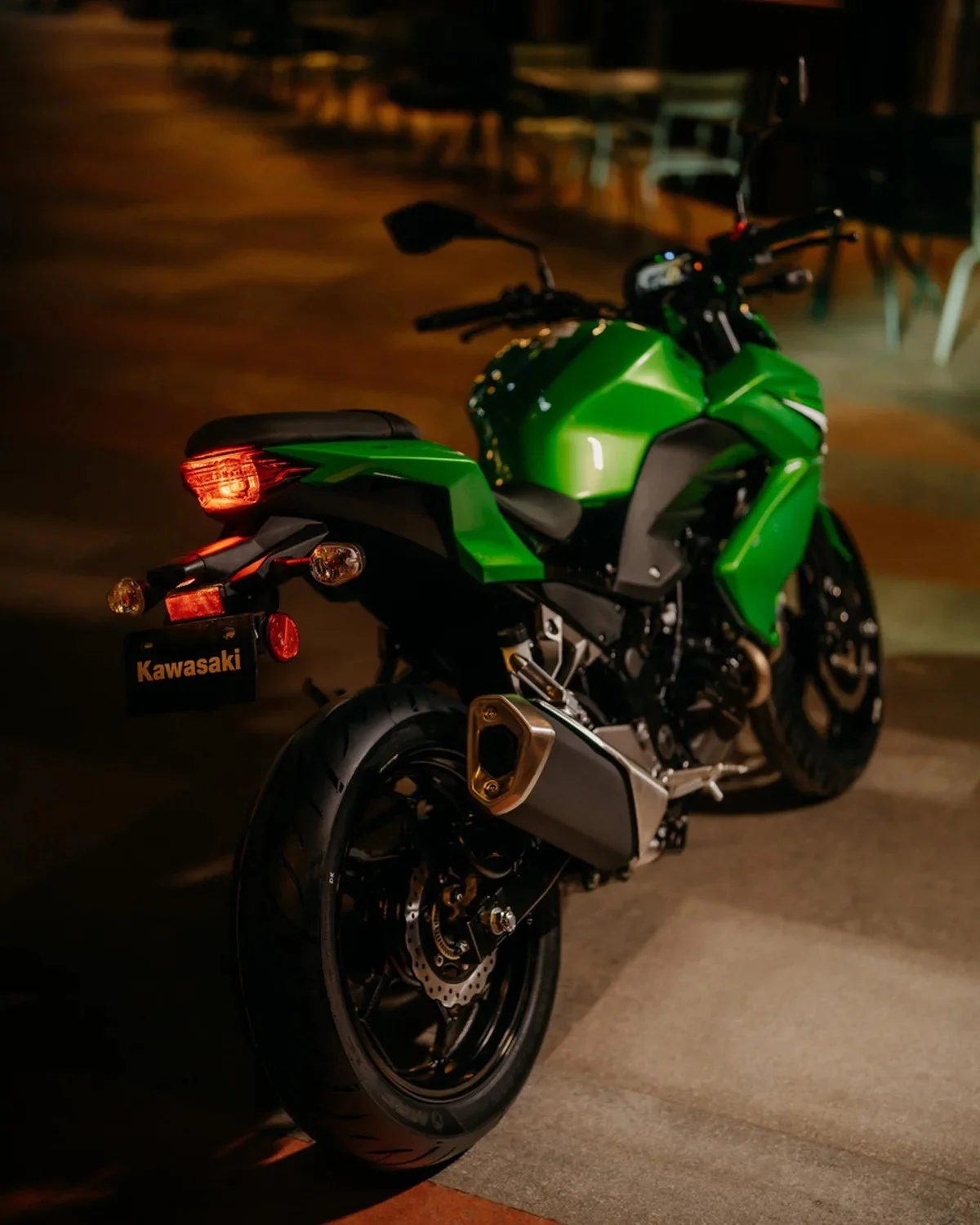 Rear view of a green Kawasaki motorcycle, highlighting the taillight and license plate bracket.