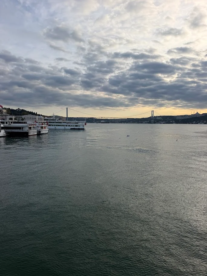 Bosphorus Run 10.5K: Pacing Lessons Before the Istanbul Marathon