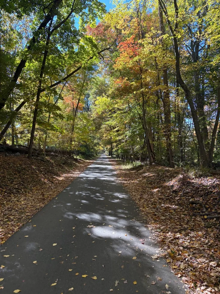 Fall Riding, Compact Bikes and a Quieter Old-School Mountain Bike