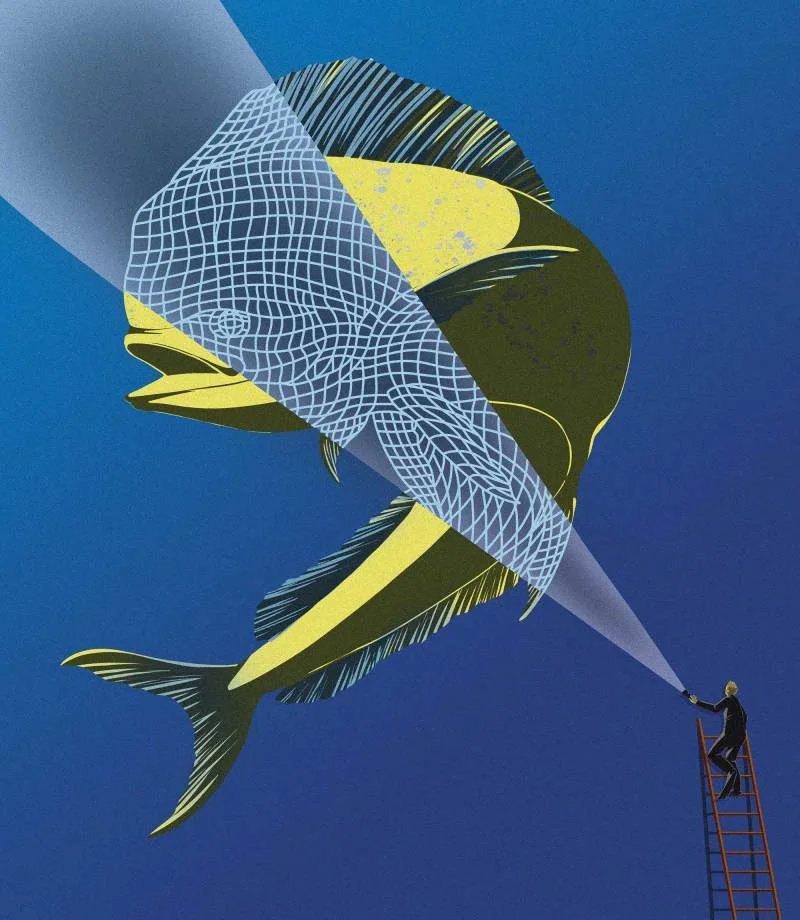 Dolphinfish Research Program Marks 25 Years of Mahi Tagging and Discovery